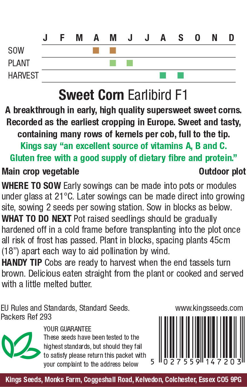 Pkt Rudbeckia Goldilocks