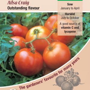 Tomato – Ailsa Craig