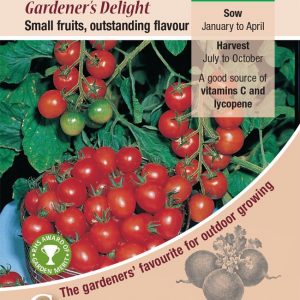 Tomato – Gardeners Delight
