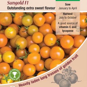 Tomato – Sungold F1