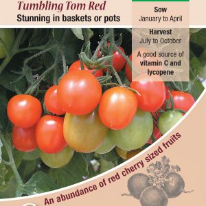 Tomato Seeds Tumbling Tom Red