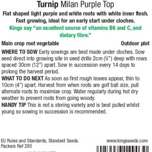 Turnip – Milan Purple Top