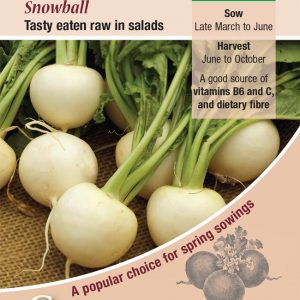 Turnip – Snowball