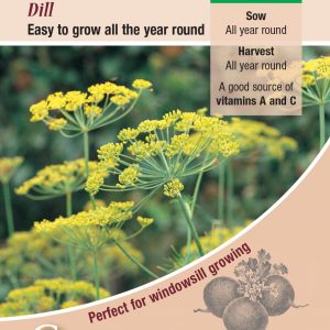 Herb – Dill (Annual)