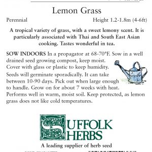 Herb – Lemon Grass – East Indian (Cymbopogan flexuosus)