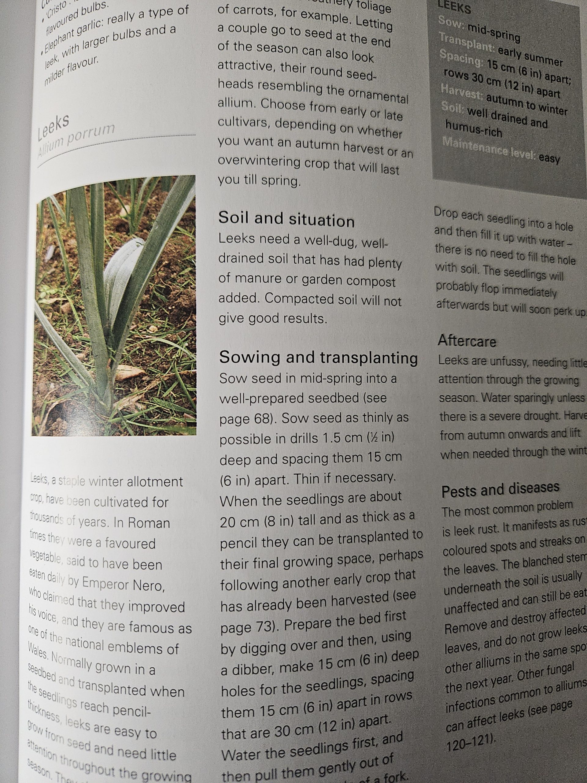 Magazine page with a photo of a green, strap-leaved plant growing in soil amid multi-column gardening text.