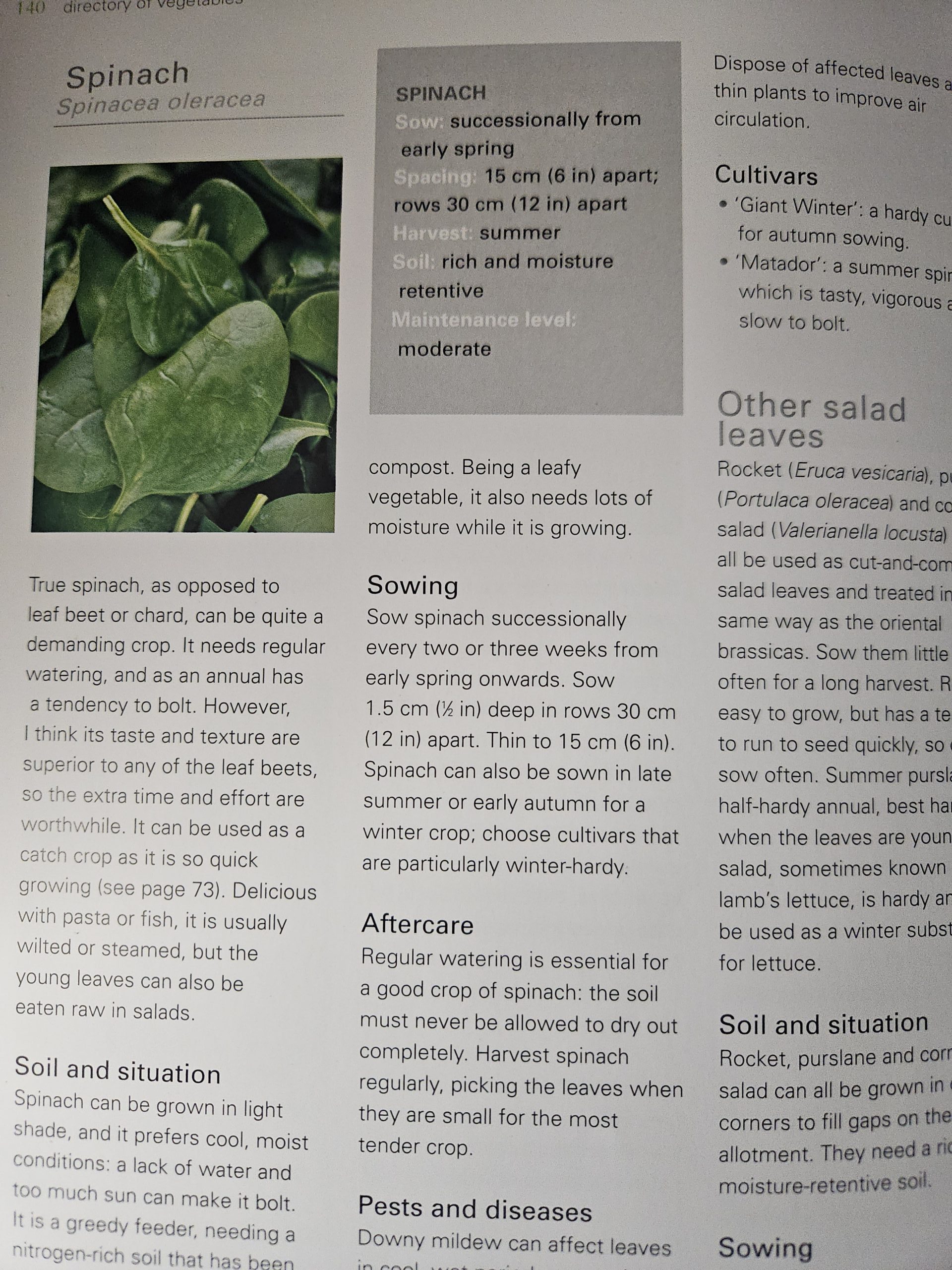 Close-up photograph of fresh spinach leaves on a page about spinach, with the word 'Spinach' visible on the header.