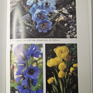 Meconopsis – Author James L.S Cobb – Pre-Loved ❤️