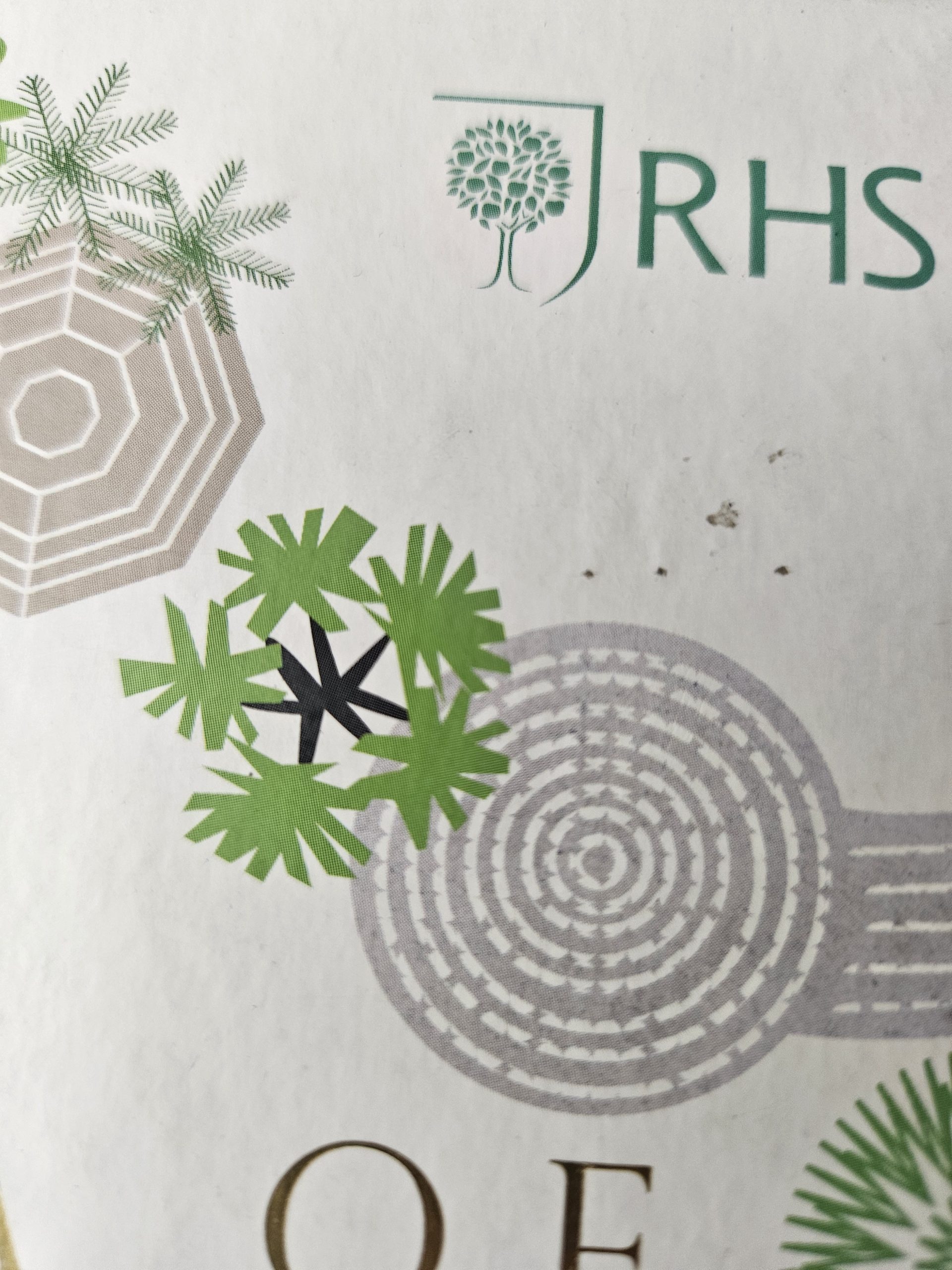 Decorative graphic with teal spiral circles and green tree-like shapes on a pale background.