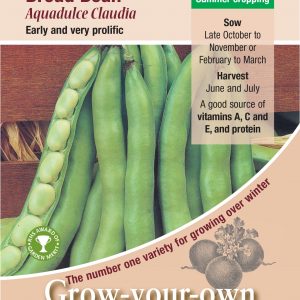 Broad Bean – ‘Aquadulce Claudia’