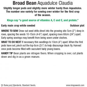 Broad Bean – ‘Aquadulce Claudia’