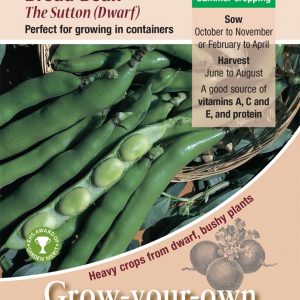Broad Bean – ‘The Sutton’ (Dwarf)