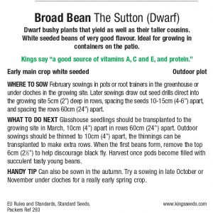 Broad Bean – ‘The Sutton’ (Dwarf)