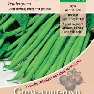 Dwarf French Bean – ‘Tendergreen’