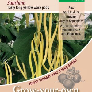 Climbing French Bean – ‘Sunshine’
