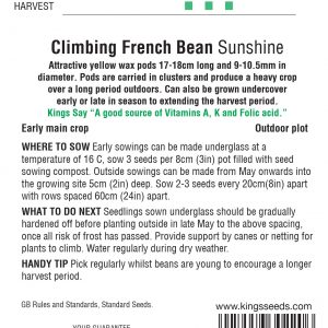 Climbing French Bean – ‘Sunshine’