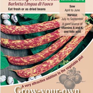 Climbing French Bean – ‘Barlotta Lingua di Fuoco 2’