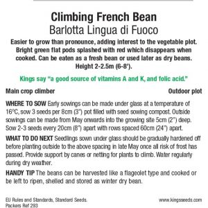 Climbing French Bean – ‘Barlotta Lingua di Fuoco 2’