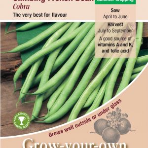 Climbing French Bean – ‘Cobra’