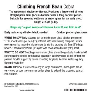 Climbing French Bean – ‘Cobra’