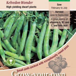 Pea – ‘Kelvedon Wonder’