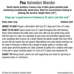 Pea – ‘Kelvedon Wonder’