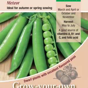 Pea – ‘Meteor’