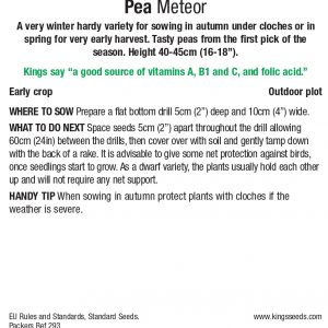 Pea – ‘Meteor’