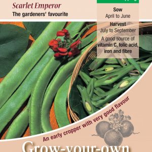 Runner Bean – ‘Scarlet Emperor’