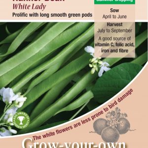Runner Bean – ‘White Lady’