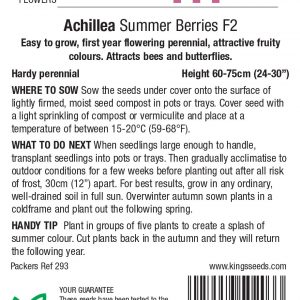 Achillea ‘Summer Berries F2’ – HP