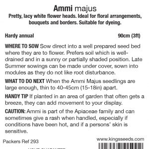 Ammi majus – HA