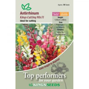 Antirrhinum ‘Kings Cutting Mix F1’ – HHA