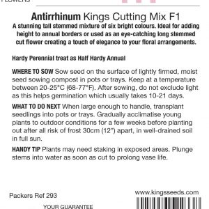 Antirrhinum ‘Kings Cutting Mix F1’ – HHA