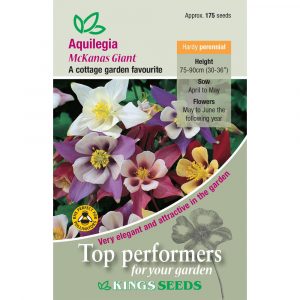 Aquilegia ‘McKanas Giant’ – HP
