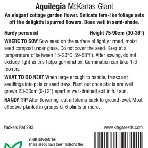 Aquilegia ‘McKanas Giant’ – HP
