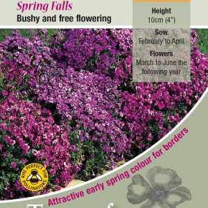 Aubrietia ‘Spring Falls’ – HP
