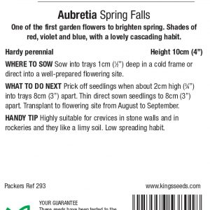 Aubrietia ‘Spring Falls’ – HP