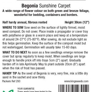 Begonia ‘Sunshine Carpet’ – HHA
