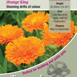 Calendula ‘Orange King’ – HA