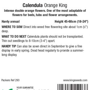 Calendula ‘Orange King’ – HA