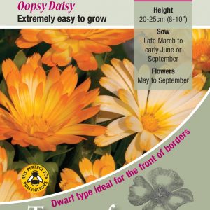 Calendula ‘Oopsy Daisy’ – HA