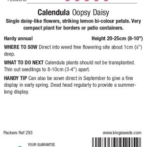 Calendula ‘Oopsy Daisy’ – HA