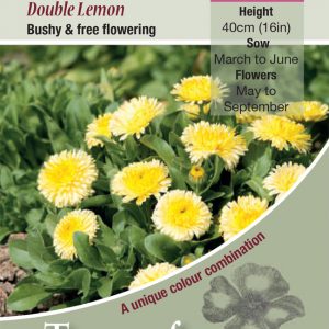 Calendula ‘Double Lemon’ – HA