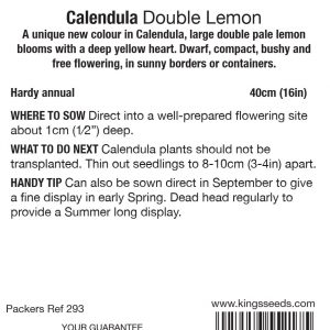 Calendula ‘Double Lemon’ – HA