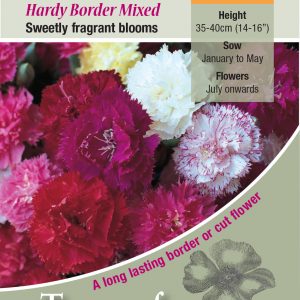 Carnation – Hardy Border Mixed – HP/HHA