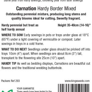 Carnation – Hardy Border Mixed – HP/HHA