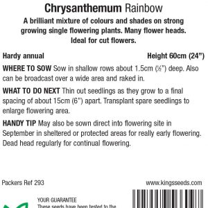 Chrysanthemum ‘Rainbow’ – HA