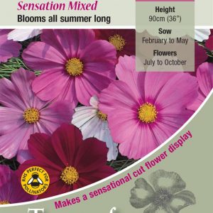 Cosmos ‘Sensation Mixed’ – HHA