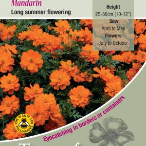 Cosmos sulphureus ‘Mandarin’ – HHA